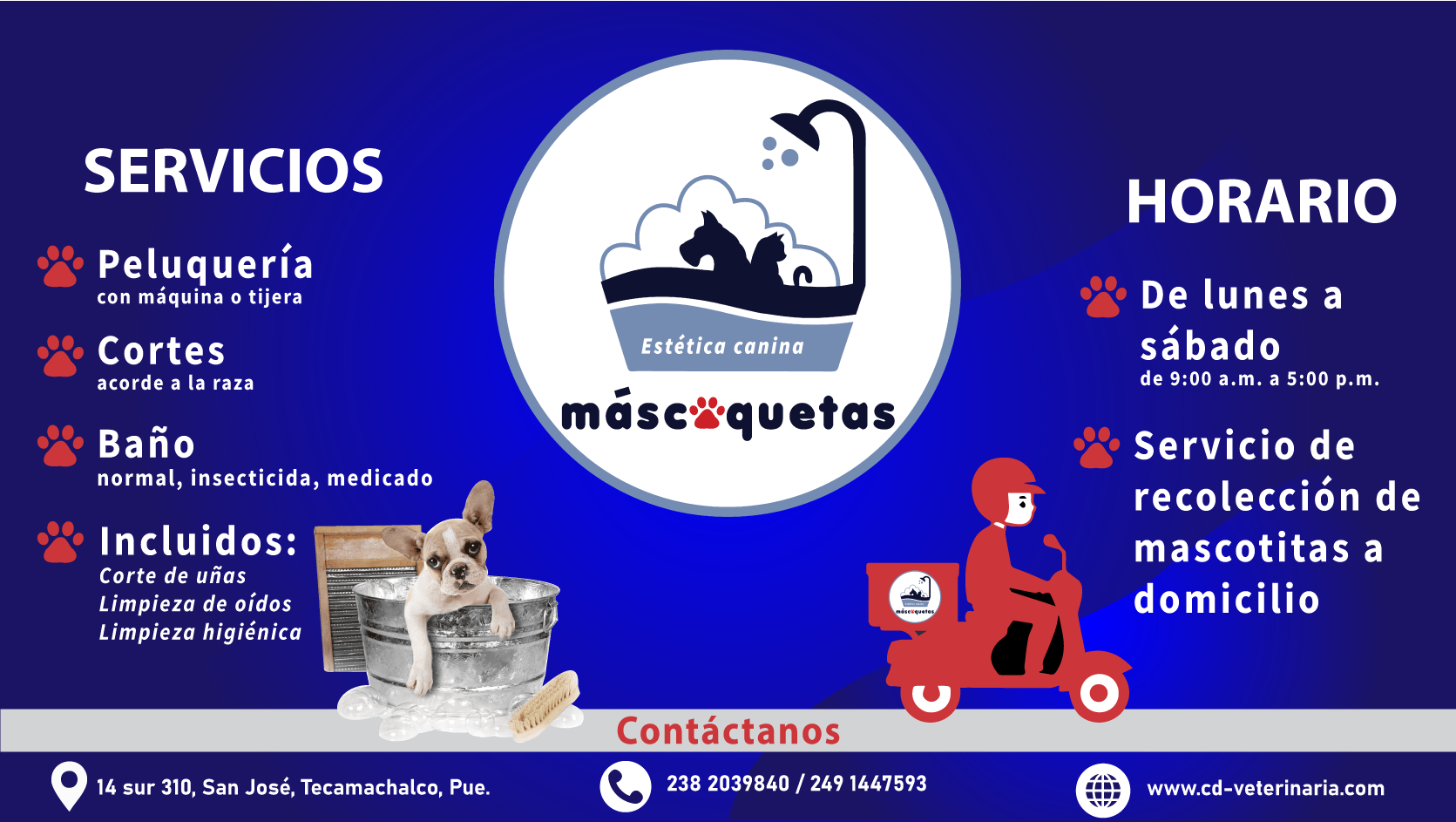 imagen alusiva a los servicios de mascoquetas